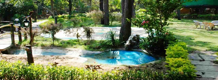 925/Tiger Woods Kanha Resort & Spa - Kanha 05.jpg